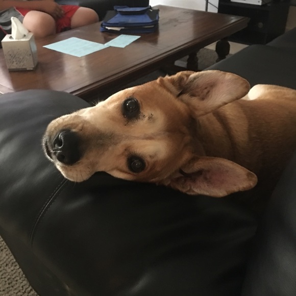 Meet your Posher, Marija - Picture 6 of 8